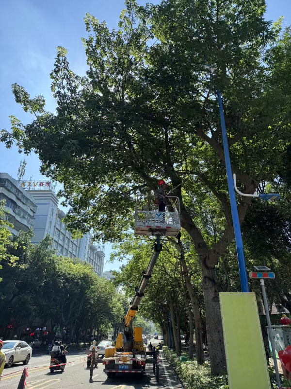 已编辑图片